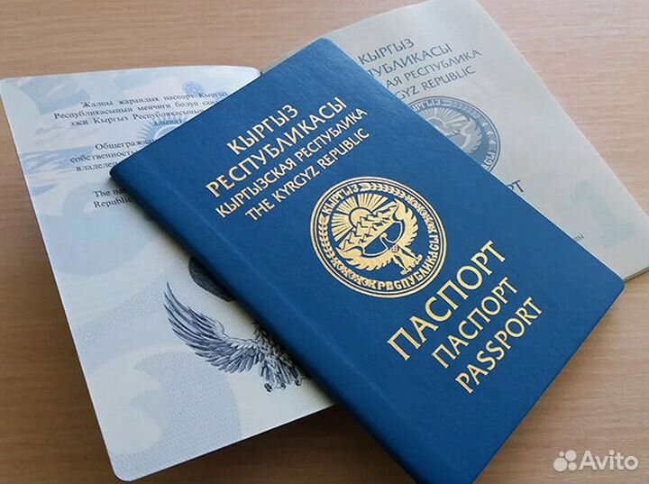 Помощь в получении гражданства Киргизии за 3 мес
