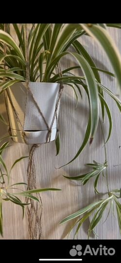 Плетеное кашпо