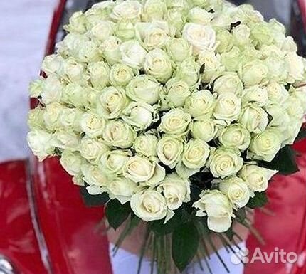 Розы Высокие 150см 160см 170см 180см 190см 2м