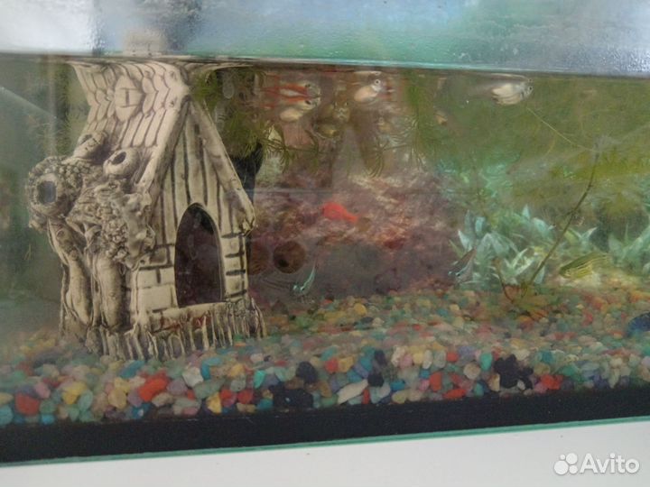 Аквариум