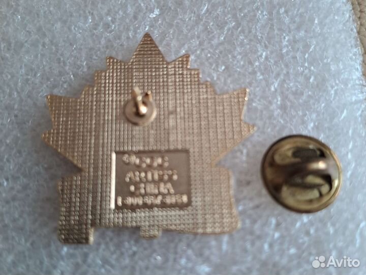 Значок лыжи Канада