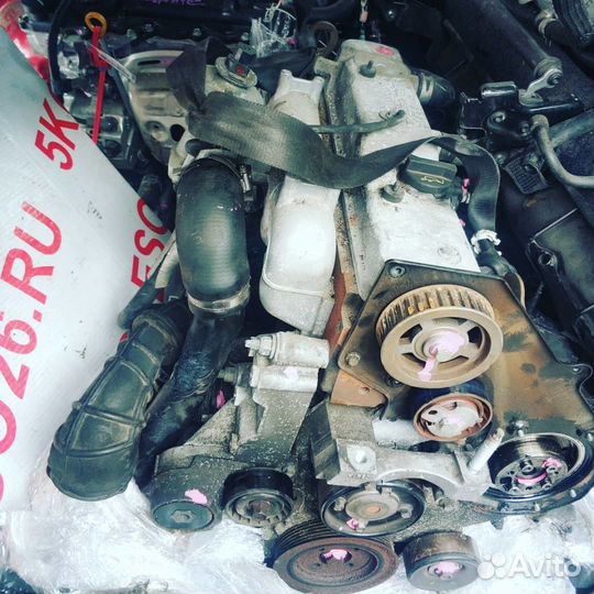 Двигатель Ford Focus 1 1.8л. BHP bhpa