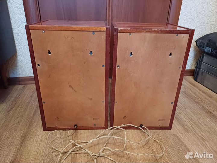 Акустика 10 мас 1м на кобальте