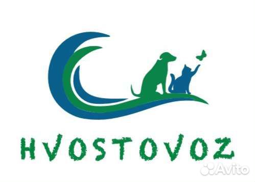 Зоотакси, перевозка животных, доставка животных