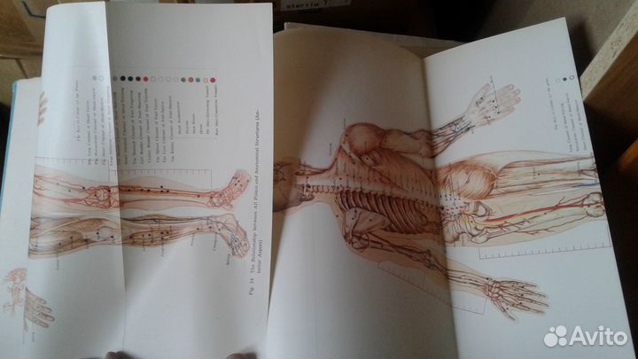 Два фундаментальных руководства по акупунктуре