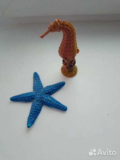 Морские животные