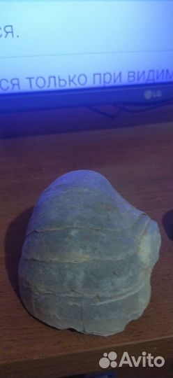 Окаменелости, Грифея