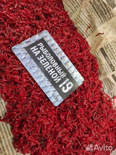 Мотыль, тюлька, опарыш, червь