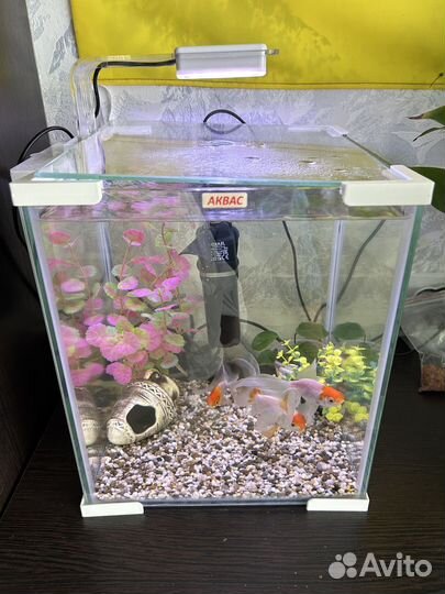 Аквариум 20 литров
