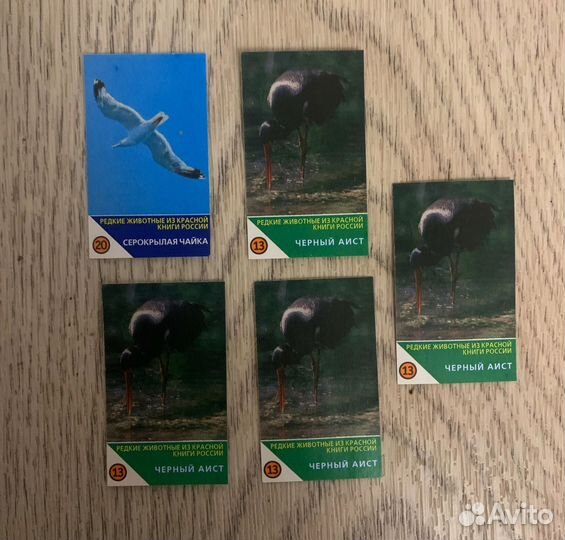 Наклеки животные от шоколадки Узнай-ка