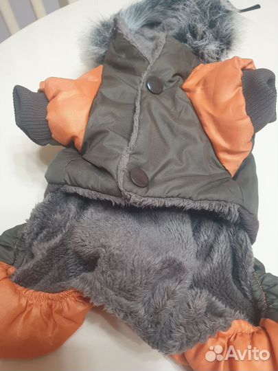 Одежда для маленьких собак