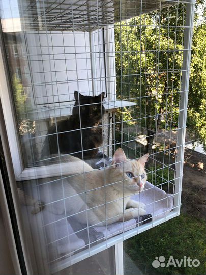 Вольер на окно, балкон для кошки
