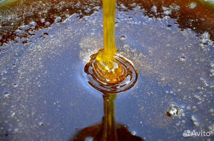 Высокогорный мед оптом