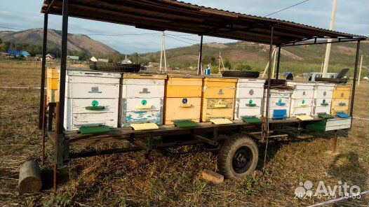 Прицеп для перевозки пчёл