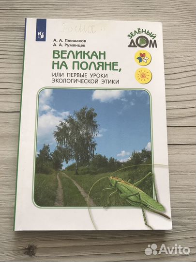Великан на поляне аа Плешаков аа Румянцев