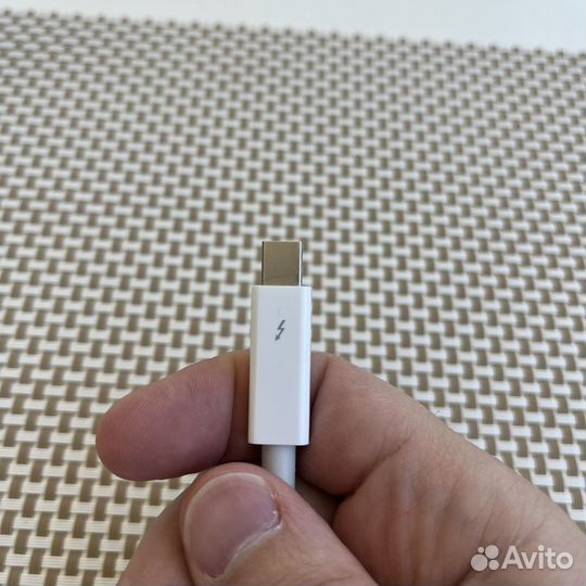 Apple Thunderbolt to FireWire Adapter A1463