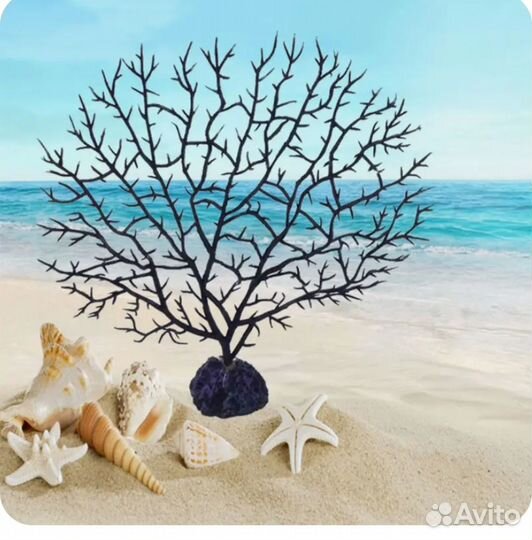 Аквариум Аквариум Анемон Коралл