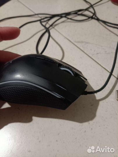Razer mamba tournament edition