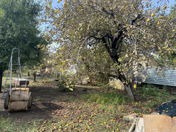 Дом 95 м² на участке 8 сот.