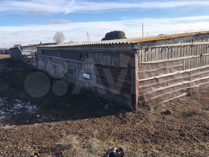 Участок 6 сот. (СНТ, ДНП)