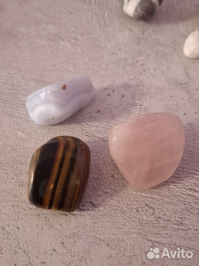 Морские ракушки раковины, камни для декора