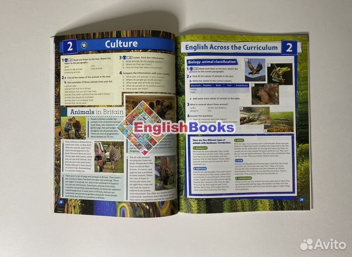 Project 2, 4ed, комплект (SB,WB,CD) новые