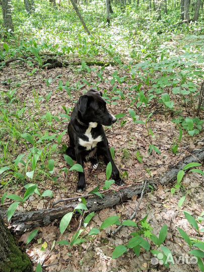 В надёжные руки