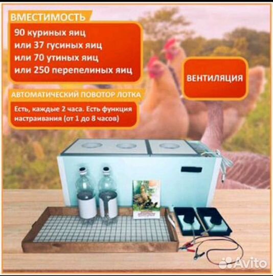 Инкубатор Блиц 