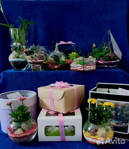 Флорариум подарок цветы