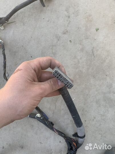 Жгут двери nissan