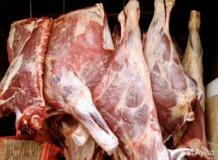 Мясо говядина halal