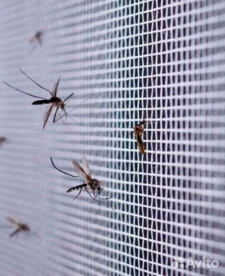 Москитная сетка, антикошка, дверь
