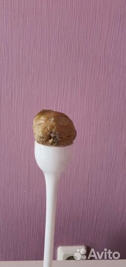 Камень с лицом человека