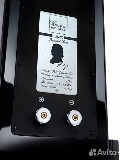 Напольная акустика Vienna Acoustics Liszt premium