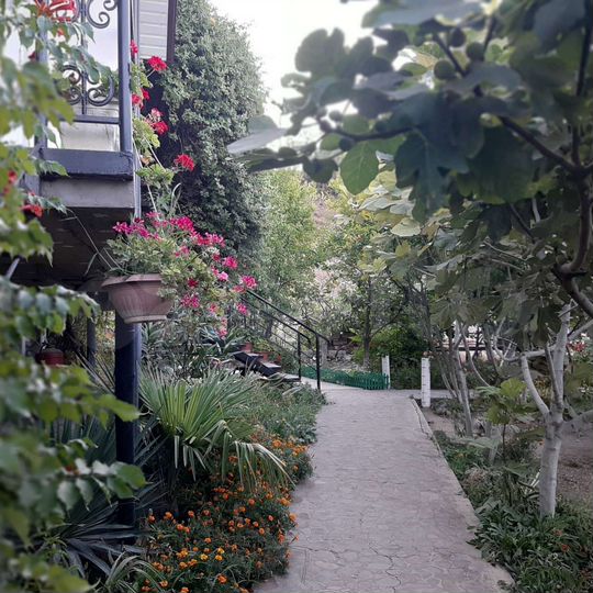 Коттедж 55 м² на участке 7 сот.