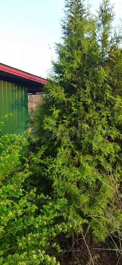 Дом 51,8 м² на участке 7,04 га