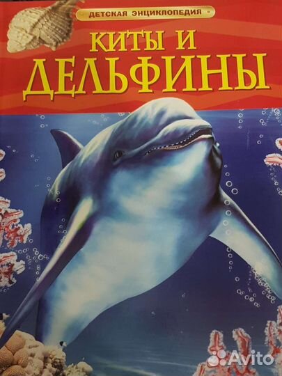 Книги из серии 