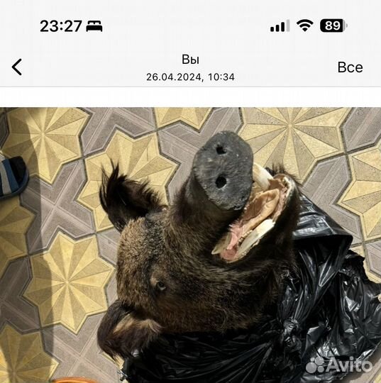Чучело кабана