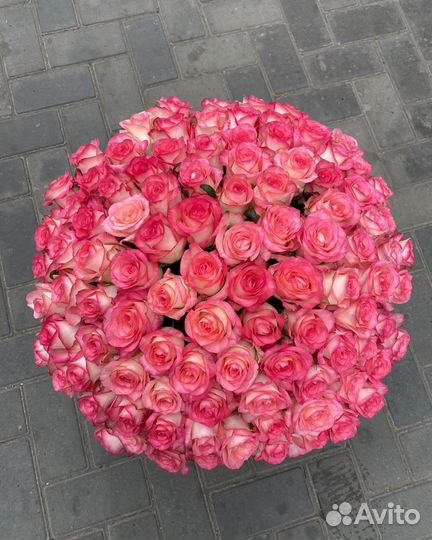 Букеты цветы из 25 роз