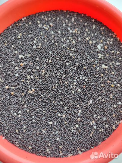 Грунт аквариумный