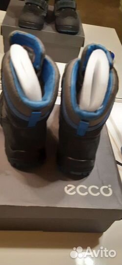 Зимние сапоги ecco 28