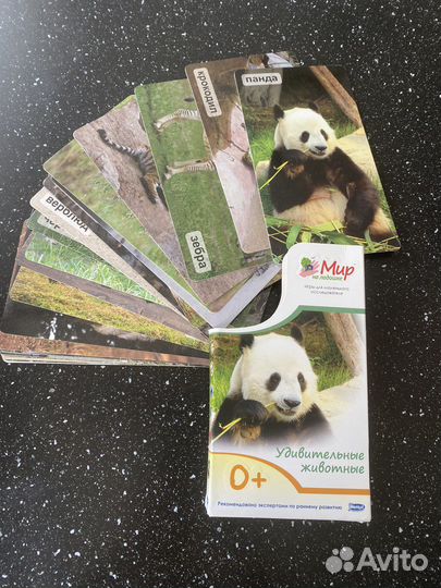 Умница мир на ладошке