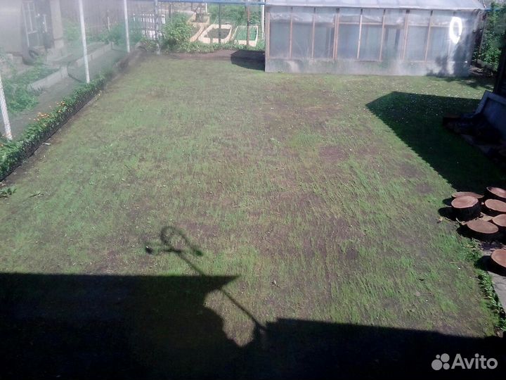 Газон/Газонная трава/Семена газона