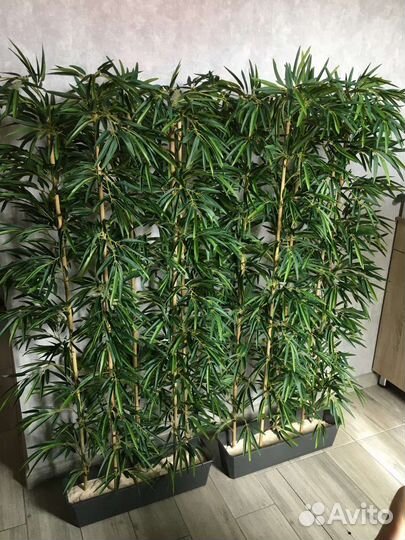 Искусственные растения туи