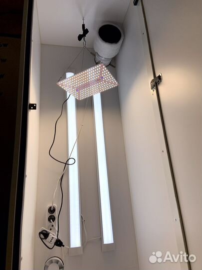 Гроубокс 150х60 см / готовый под ключ