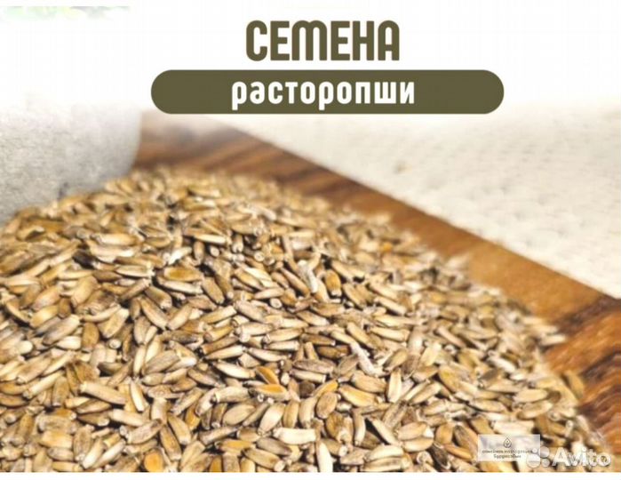Качественные семена расторопши от производителя