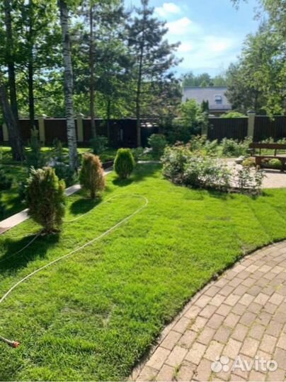 Укладка рулонного газона+Ландшафт участка под ключ