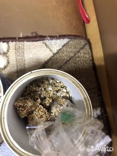 Товары для животных