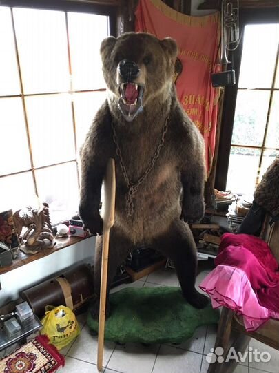 Медведь (имитация)