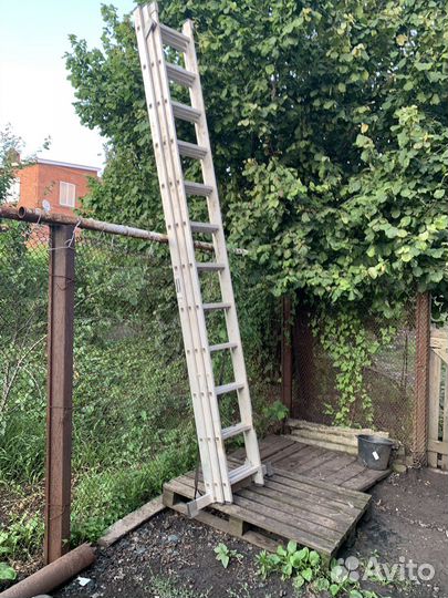 Лестница раздвижная алюминиевая 3-12